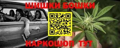 прущие грибы Усть-Джегута